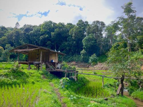 Samoeng Casa | Chibacall ชิบะคอล, Chiang Mai Hideaway Homestay