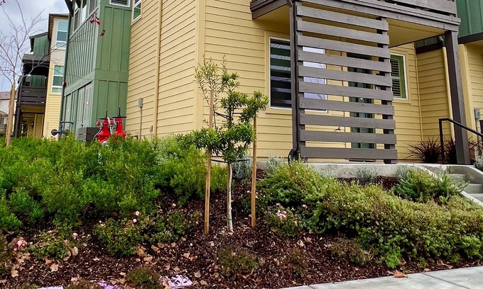 Berryessa Casa | Chic new townhome in the heart of Silicon Valley