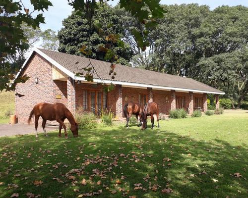 Assagay Casa | Chillifields Guesthouse