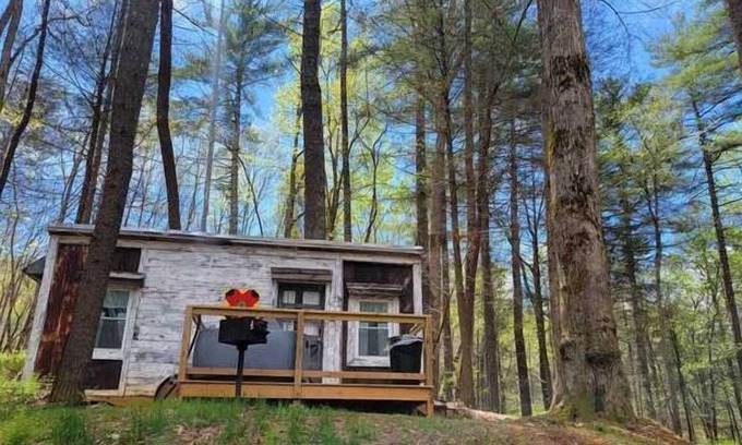 Suches Cabaña | Chipmunk Chalet Tinyhome, nestled in the Chattahoochee National Forest w/hot tub