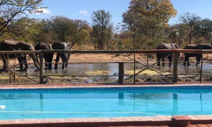 Chobe District Cabina | Chobe Mupani Forest Lodge