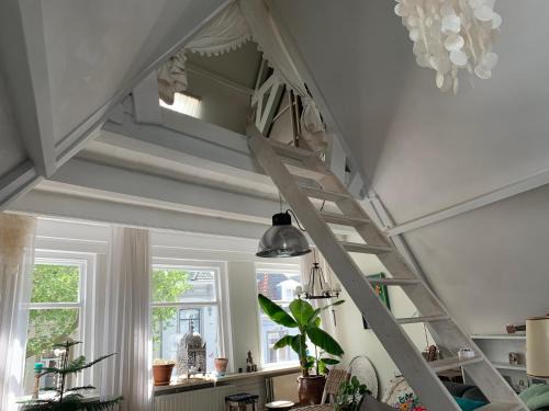 's-Hertogenbosch Cama Y Desayuno | Choco Loca Loft, Bed, Bad & Bol