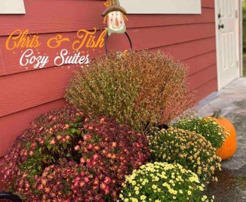 Eatonville Apartamento | Chris & Tish Cozy Suites B