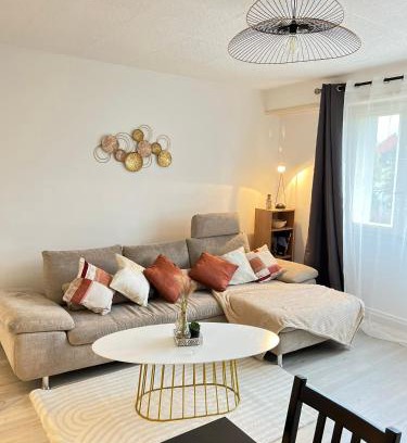 Mulhouse Apartamento | CICONIA : CENTRE-VILLE MULHOUSE, PARC NOUVEAUX BASSINS A PROXIMITE