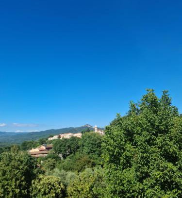 Celle di Bulgheria Casa | Cilento House Garden B&B MIRELLA