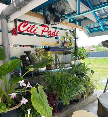 Kota Bharu Casa | CILI PADI GUESTHOUSE