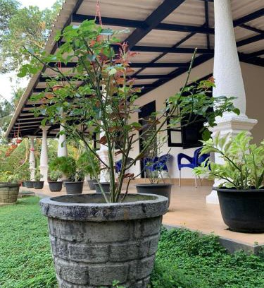Ambalangoda Casa | Cinnamon Garten