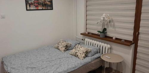 Koszalin Apartamento | Ciotka Klotka