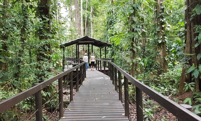Cahuita Cabina | Ciudad Pérdida Ecolodge