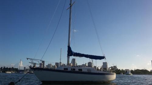 Miami Alquiler De Eote | Classic Sailboat 30’