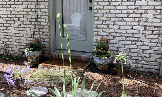 Atlantic Beach Apartamento | Clean and cute 1b/1b, kitchenette, w/d, private fenced in yard, 1 block to beach
