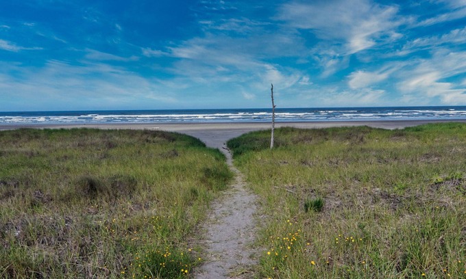 Grayland Cabaña | CLEAN Beach Cottage + Beach Path!