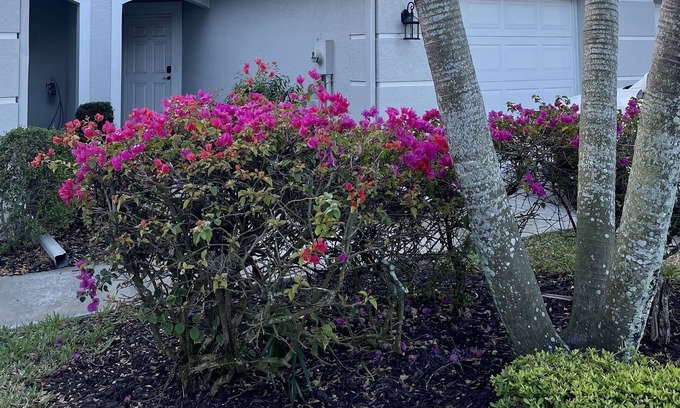 Heritage Palms Condominio | Clean, Quiet, Close to beach, Heated pool & covered Lanai with attached garage