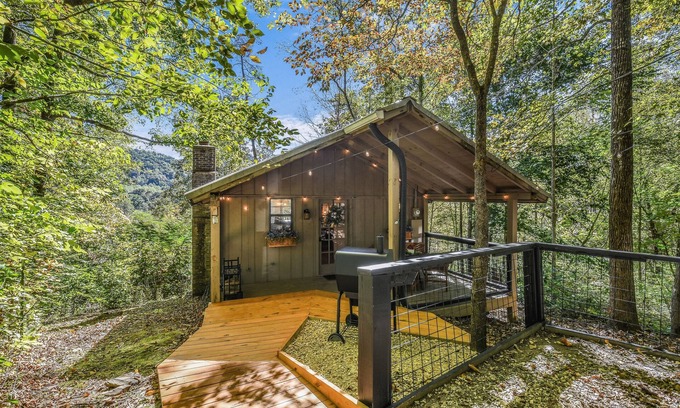 Townsend Cabina | Cliff Haven 1 Bedroom Cabin by RedAwning
