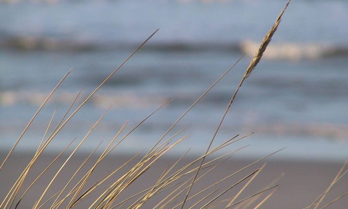 Wangerooge Apartamento | cerca de la playa y familiar