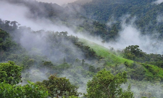 Nanegalito Casa | Cloud forest retreat