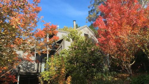 Kangaroo Valley Casa | Cloudsong Chalet 4 Close to the village centre