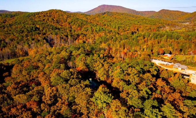 Tiger Cabina | Clyde’s Cabin: Mtn View, Fire Pit, Pet-Friendly