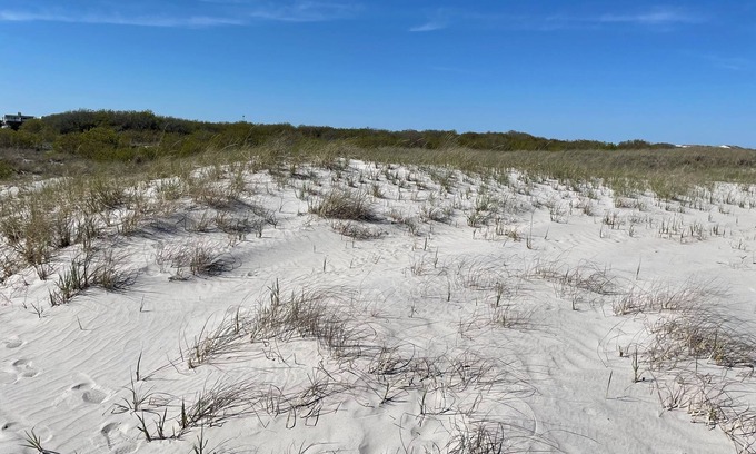 Southend Condominio | Coastal Charm Meets Cozy Comfort - 1BR Beachside Beauty!