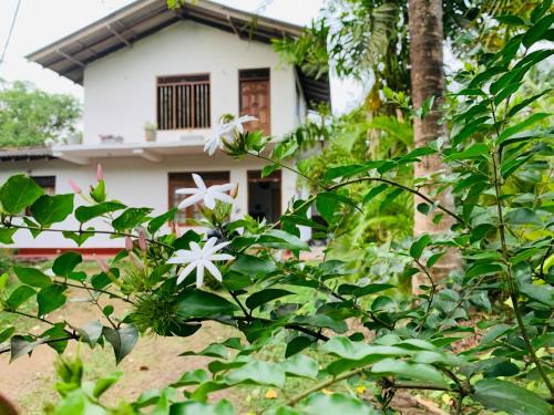 Dodanduwa Casa | Coastal edge villa