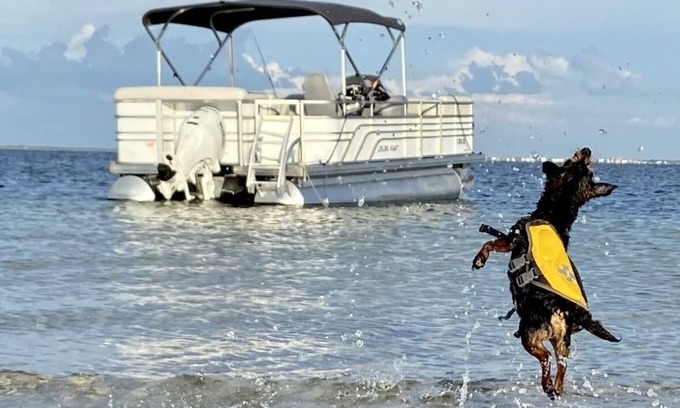 Flor-a-mar Casa | Barco de pontones gratis, Playa de la isla, Piscina climatizada, Pesca