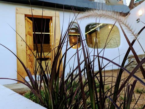 Mount Abu Casa | Cob House