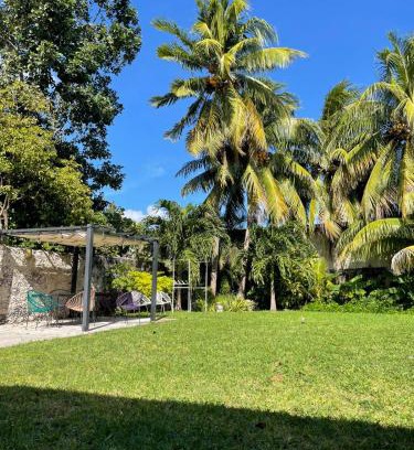 San Miguel Apartamento | CoCo Cozy Apartment Centric and Private