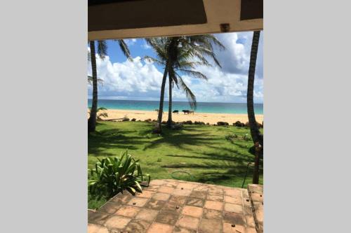 Corn Island Apartamento | Coconut Castle at La Lodge at Long Bay