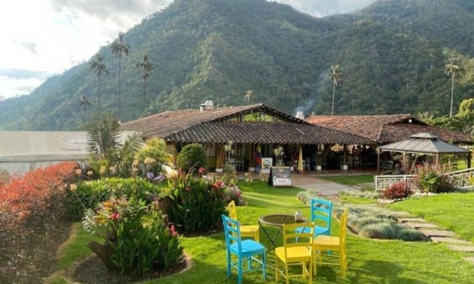 Salento Cabina | Cabaña Valle del Cocora