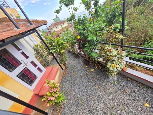 Stuart Hill Casa | Coffee cottage guest house