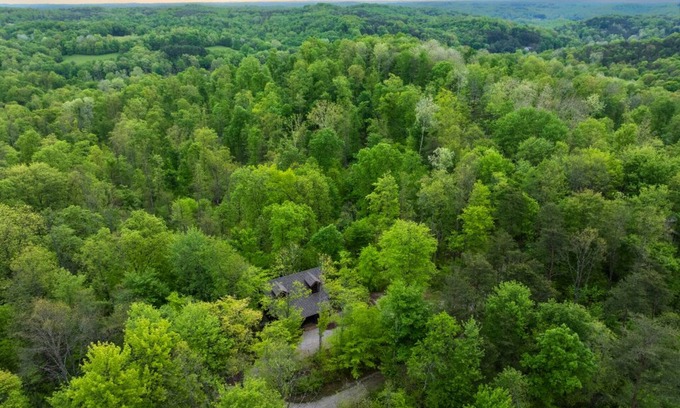 Logan Cabina | Cohosh - Hand hewn private log cabin with views