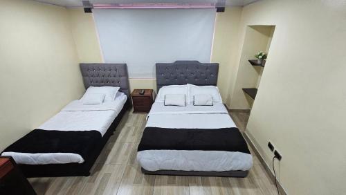 Campin Cama Y Desayuno | Colisseum Roma House- Campin Simón Bolivar Movistar Embajada compensar