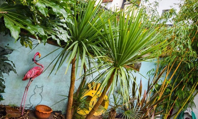 Southville Casa | Colourful 3BD Home With Garden in Southville