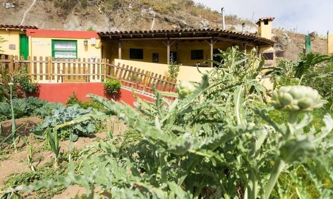 San Cristobal de La Laguna Casa | COMFORTABLE CAVE HOUSE SURROUNDED BY TRAILS, NATURE AND LANDSCAPES