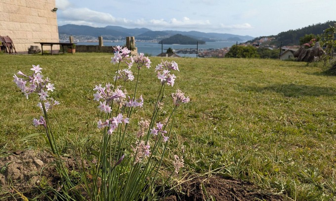 Casalvito Casa | Combarro Vista