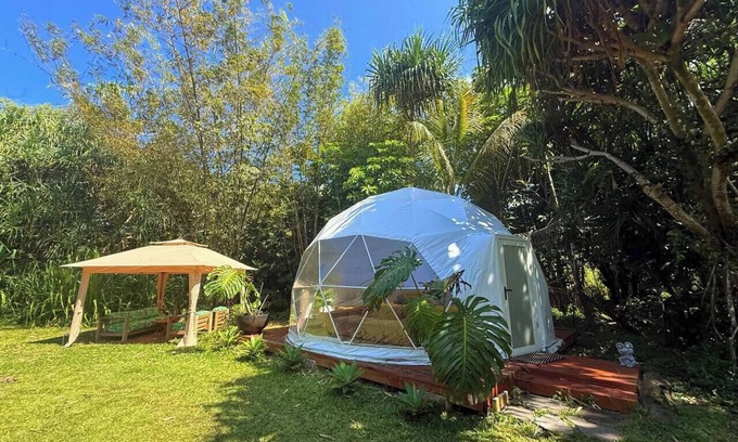 Waa Waa Casa | Come sleep in the jungle Glamping Experience