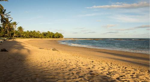 Jaua Apartamento | Comfort and Beach on the Bahia Coast