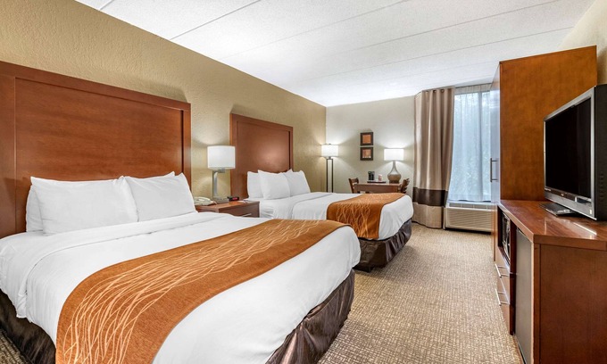 Landen Hotel | Comfort Inn Cincinnati Northeast