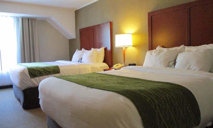 Dartmouth Hotel | Comfort Inn Dartmouth