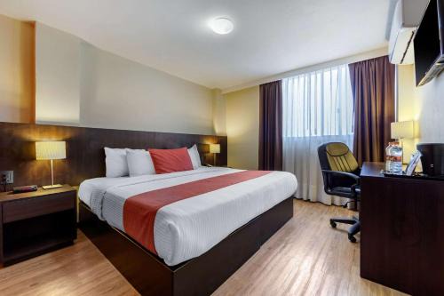 San Luis Potosí Hotel | Comfort Inn San Luis Potosi