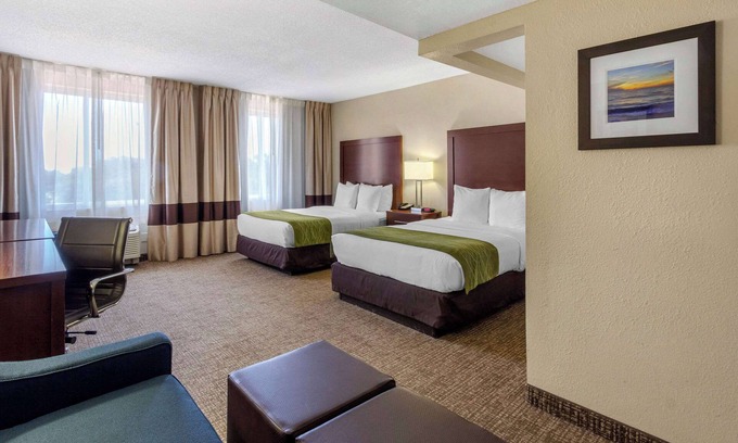 St. Petersburg - Clearwater Hotel | Comfort Inn St Petersburg North