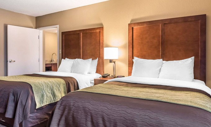 Piqua Hotel | Comfort Inn & Suites Piqua-Near Troy-I75