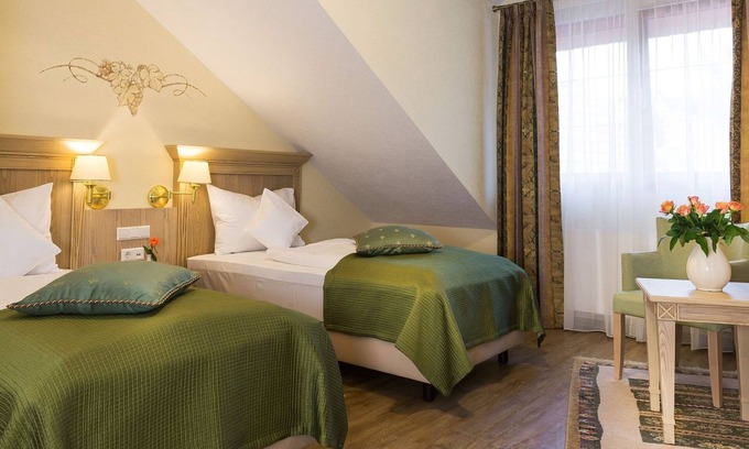 Steinbach Apartamento | Habitación Confort Twin