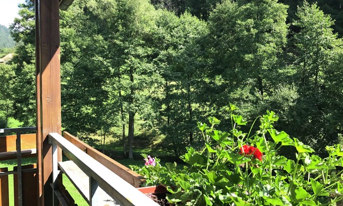 Obertal Apartamento | Cómodo apartamento en Baiersbronn con balcón
