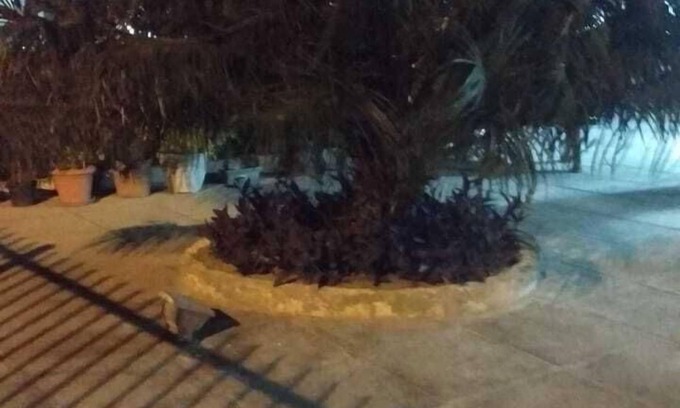 Campo Grande Apartamento | ¡Cómodo apartamento cerca de la juerga!