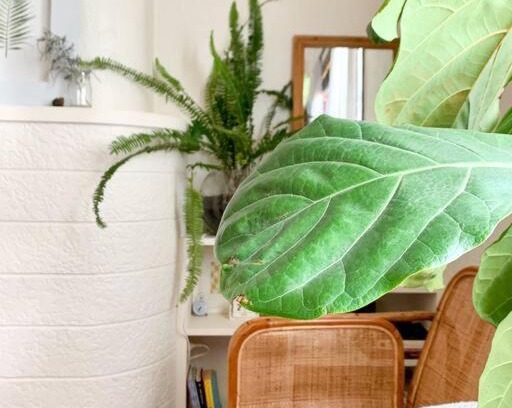 Petersham Apartamento | Comfortable Studio Gem in the heart of Petersham