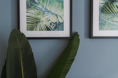 East End Apartamento | ComfySleep Apartments