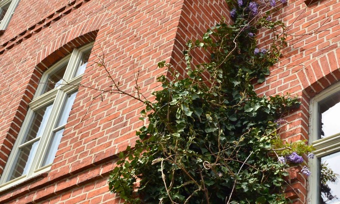 Oberhavel Casa | Complete guesthouse on the Finow Canal (former school from 1875) for 12 people