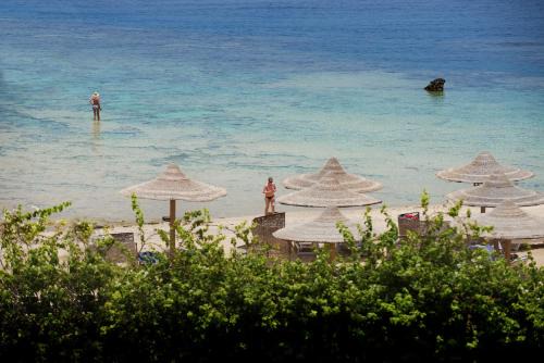 Marsa Alam Complejo | Concorde Moreen Beach Resort