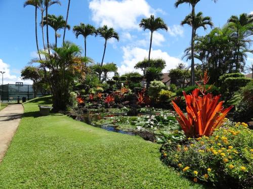 Kapaa Apartamento | Condos in Kapaa